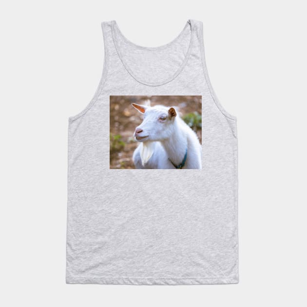 Old Bearded Goat Portrait Tank Top by mcdonojj